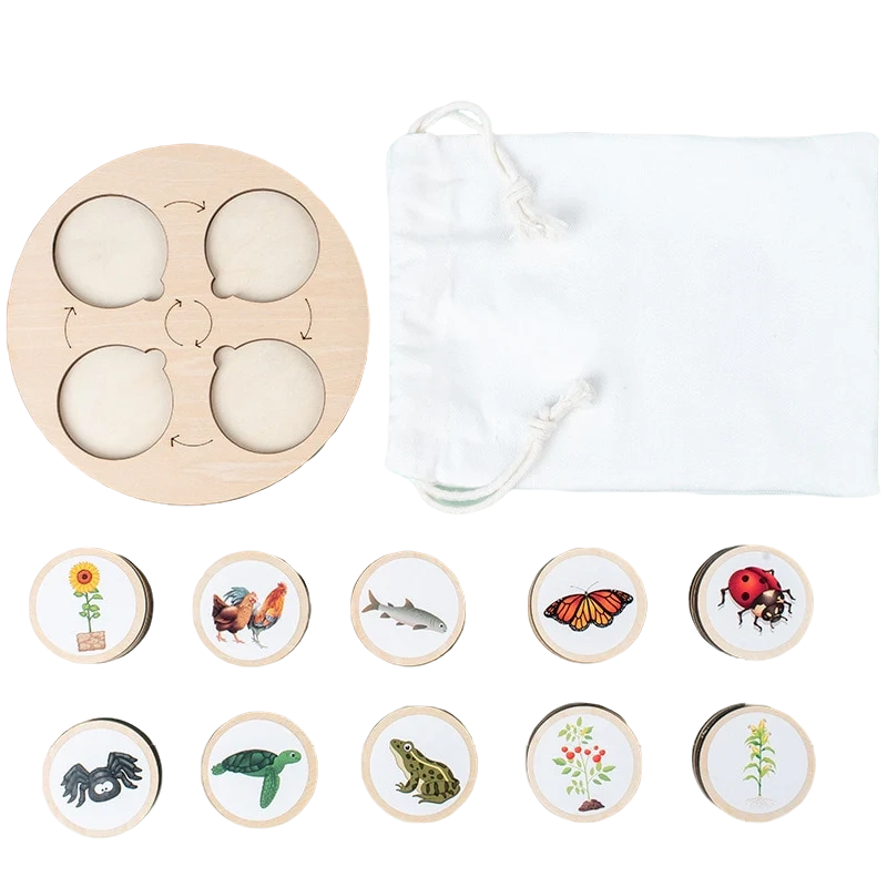 Montessori Life Cycle Board Kit