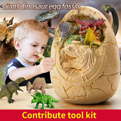 Kid playing with Dinosaur egg fossil