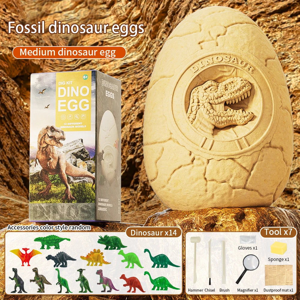 Medium Dinosaur Egg Dig Kit